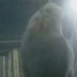 Van10000 Profile Picture