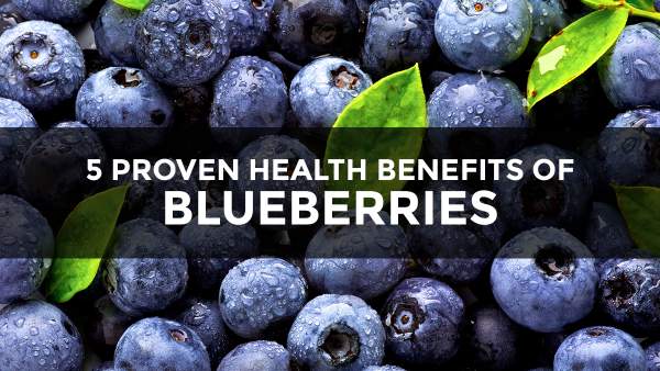 If blueberries were pharmaceuticals, they would be hailed as the greatest “miracle” health breakthrough in the history of medicine – NaturalNews.com
