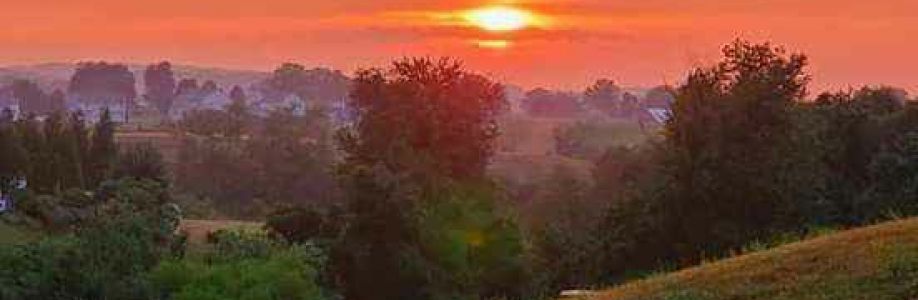 Rich Langley Cover Image