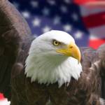 Matt Savage Profile Picture