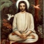 Jo Ann Calmasini Profile Picture