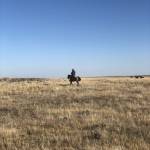 Steve Profile Picture