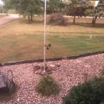 Gail Adelman Profile Picture