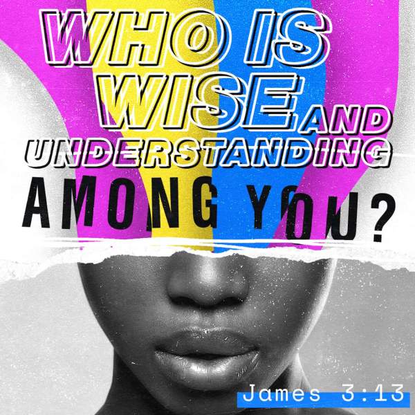 James 3:13 Who is a wise man and endued with knowledge among you? let him shew out of a good conversation his works with meekness of wisdom. | King James Version (KJV) | Download The Bible App Now