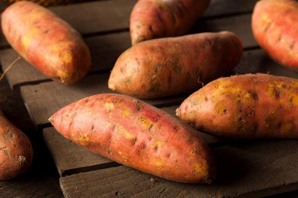 The health benefits you receive when you eat more sweet potatoes – NaturalNews.com