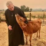 Fr. Frank Epperson Profile Picture