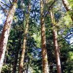 JohnSabrina Profile Picture