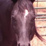 CANDY MARSHALL Profile Picture