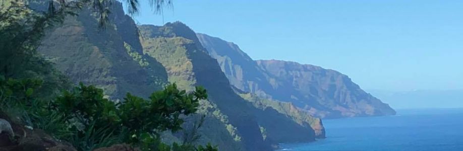 Mandy Hanson Cover Image