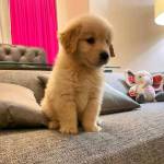 Fred Coolman Profile Picture