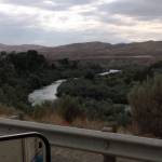 Deb Anderson Profile Picture