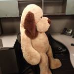 John Mero Profile Picture