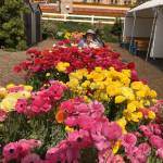 JannaChristenson Profile Picture