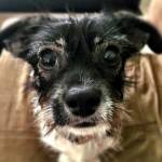 Randy Alexander Profile Picture