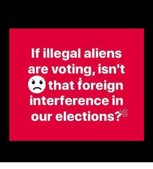 19 aliens charged with voter fraud in North Carolina following ICE investigation - Forum - Tea Party Command Center
