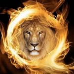 Stephany Iswinning Profile Picture