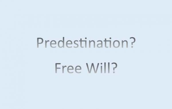 Predestination? Free Will?