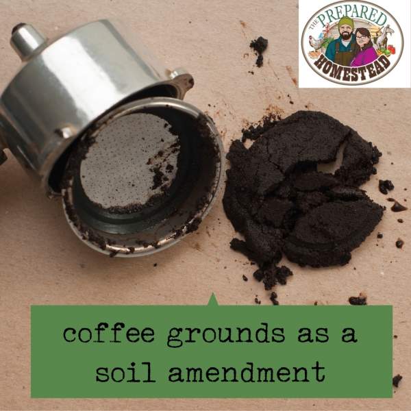Using Coffee Grounds as a Soil Amendment