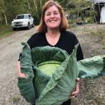 Mary Hulsey Profile Picture