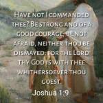 Leslee Allen Profile Picture