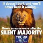 Wanda Voorhees Profile Picture