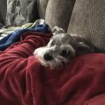 Harry Keffer Profile Picture