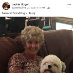 Jackie Hogan Profile Picture