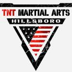 TNT Martial Arts & Life Mastery Profile Picture