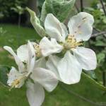 Lisa Christiansen Profile Picture