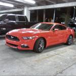 Jan Combs Profile Picture