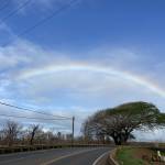 Janetdelear Profile Picture