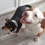 SusanLynchPeek Profile Picture