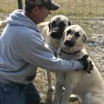 Mike Miller Profile Picture