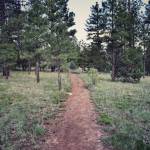 Autum Ososky Profile Picture