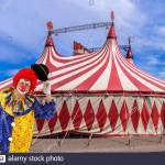 Comedy Circus Profile Picture