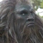 B17GF Profile Picture