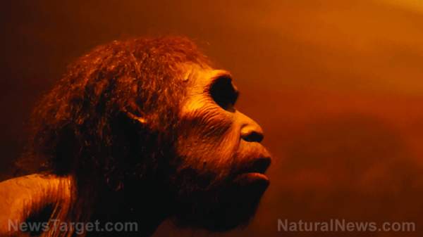 Paleolithic prepping: Prehistoric humans stocked up on food by serving marrow-filled bones as “canned” soup – NaturalNews.com