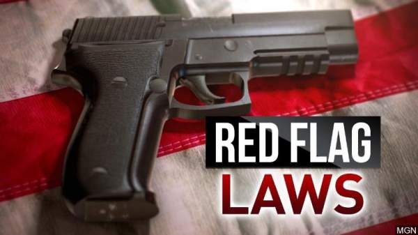 Congress Hides Red Flag Gun Confiscation In Latest 2021 NDAA - The Washington Standard