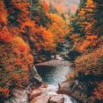 Timothy West Profile Picture