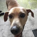 Charlie Grett Profile Picture