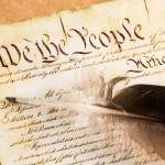 Daisy Peppered Profile Picture