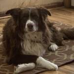 Rick Bishop Profile Picture