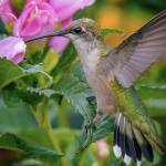 Michelle Profile Picture