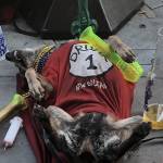 Eric Gray Profile Picture