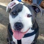 Lonny Crawford Profile Picture