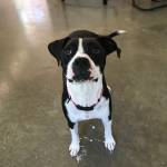 Lucy27 Profile Picture