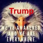 Scotty Wright profile picture