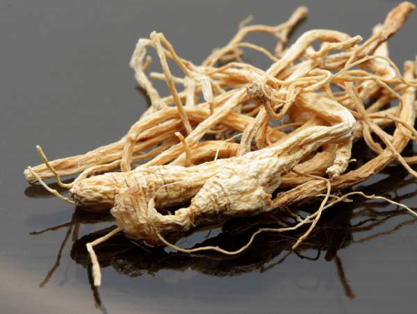 The therapeutic effects of ginseng against Alzheimer’s disease – NaturalNews.com