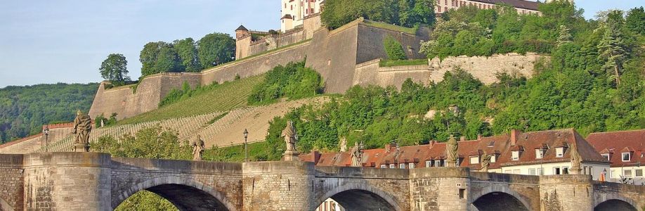 Jay Raley, MBA Cover Image