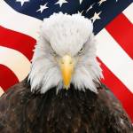 J Arflin Profile Picture